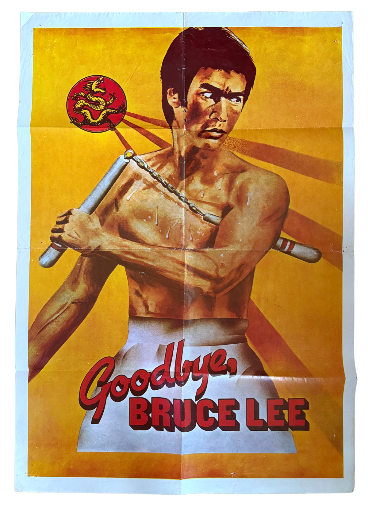 Goodbye, Bruce Lee: His Last Game of Death