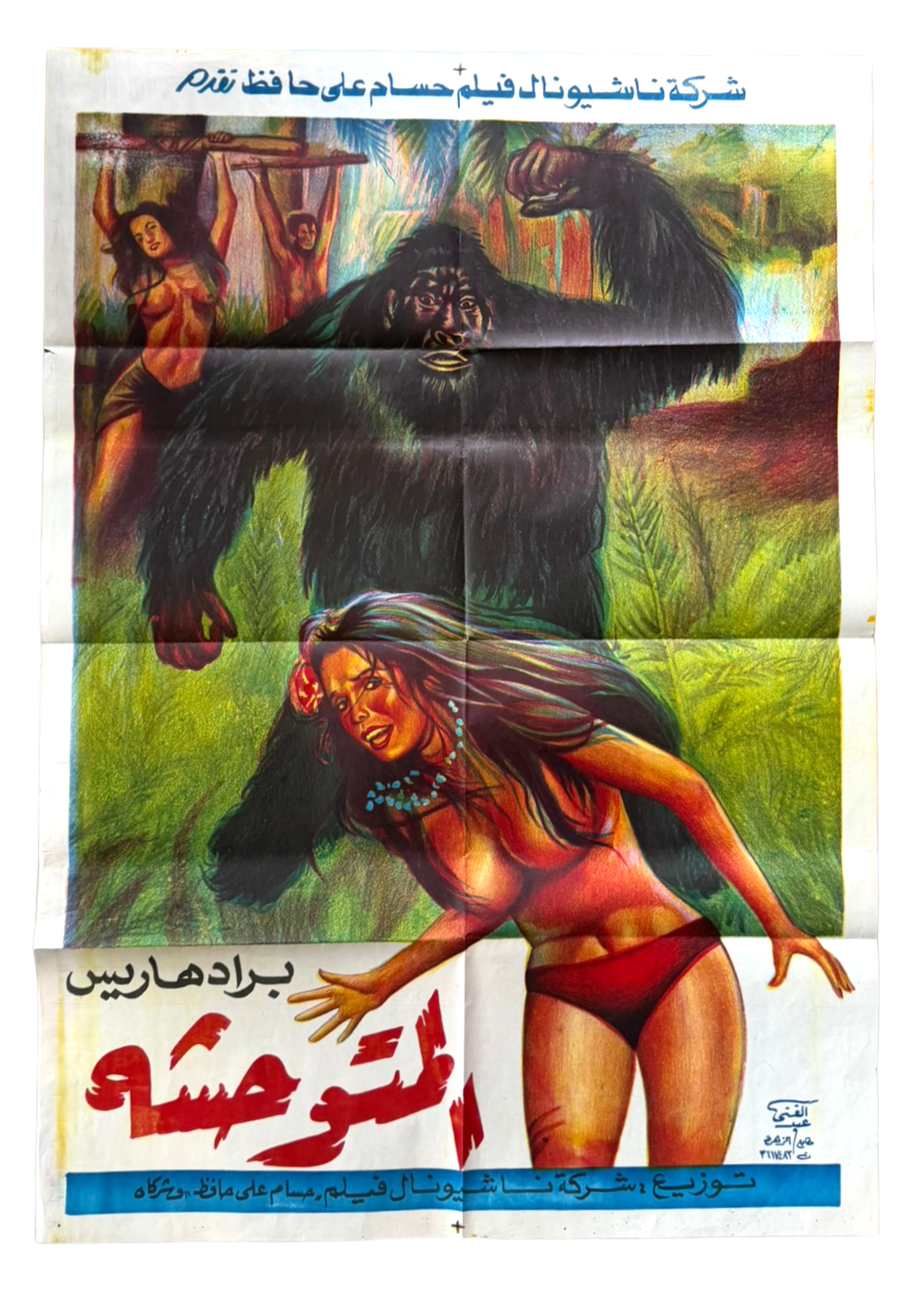 King of Kong Island