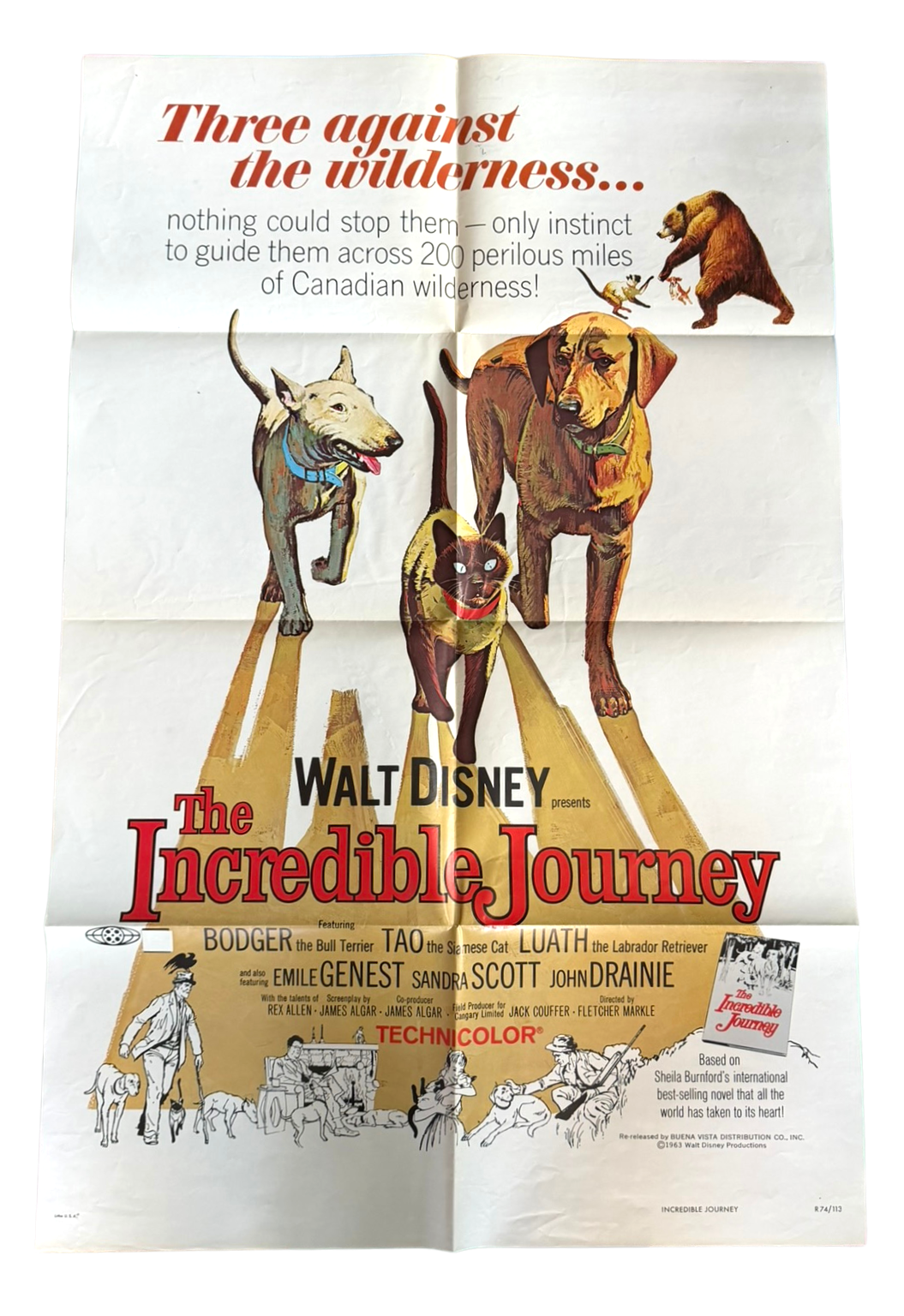 The Incredible Journey