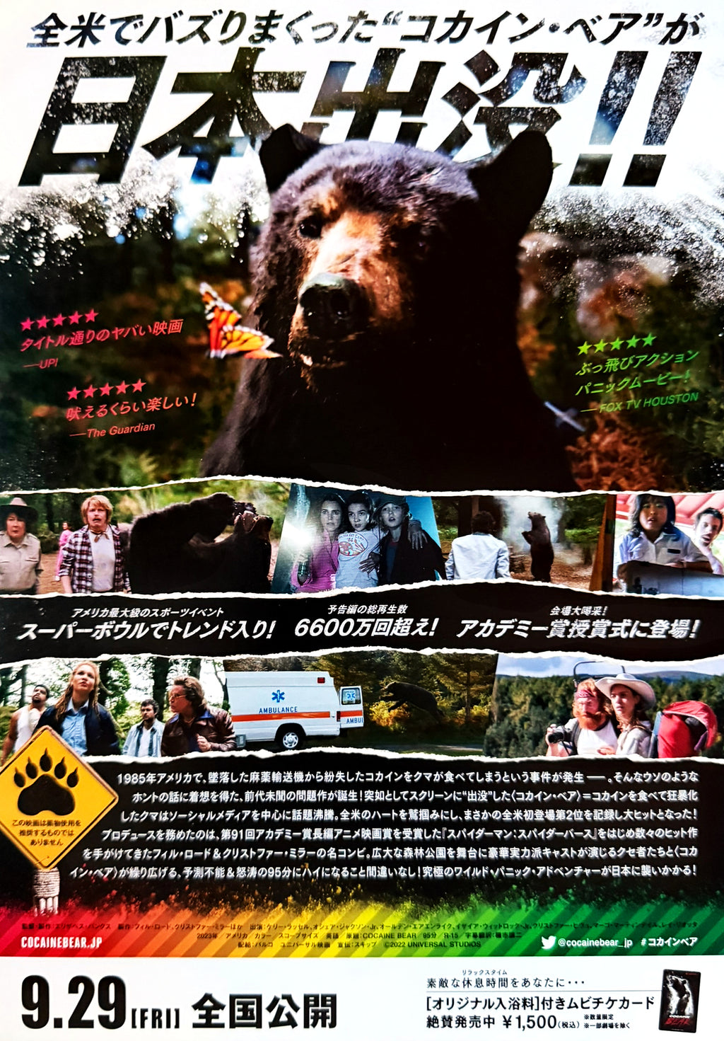 Cocaine Bear