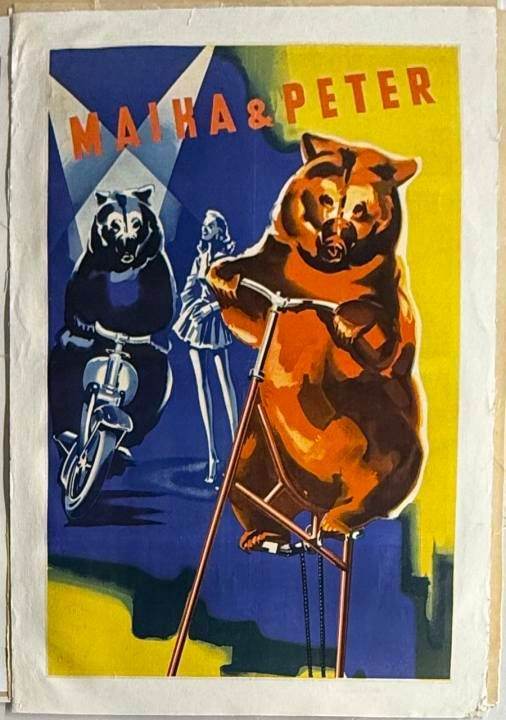 Maika & Peter (1950s) German Circus Linen Backed Poster – Performing Bears with Trainer
